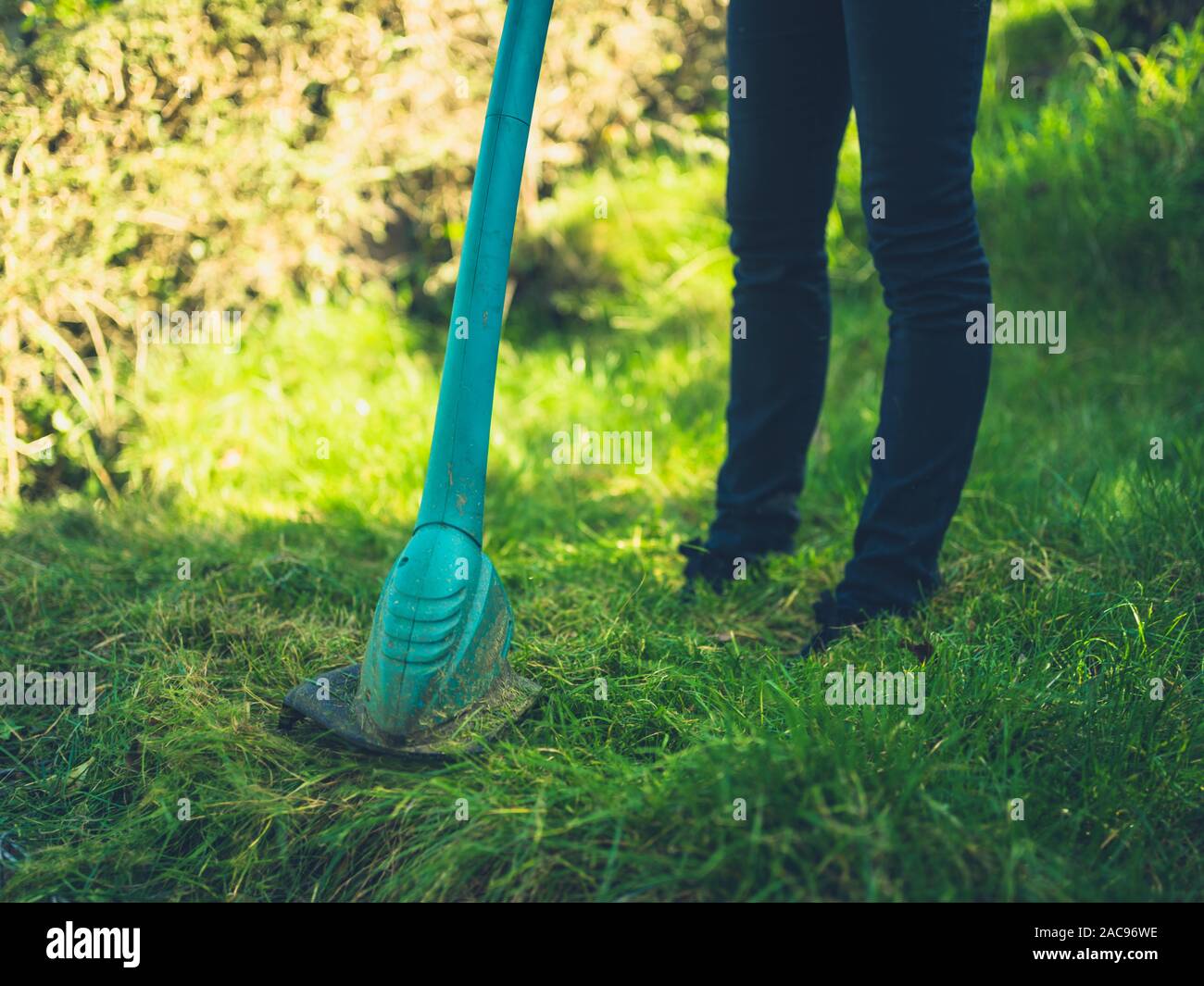 A young woman is cutting the lawn using a grass strimmer Stock Photo