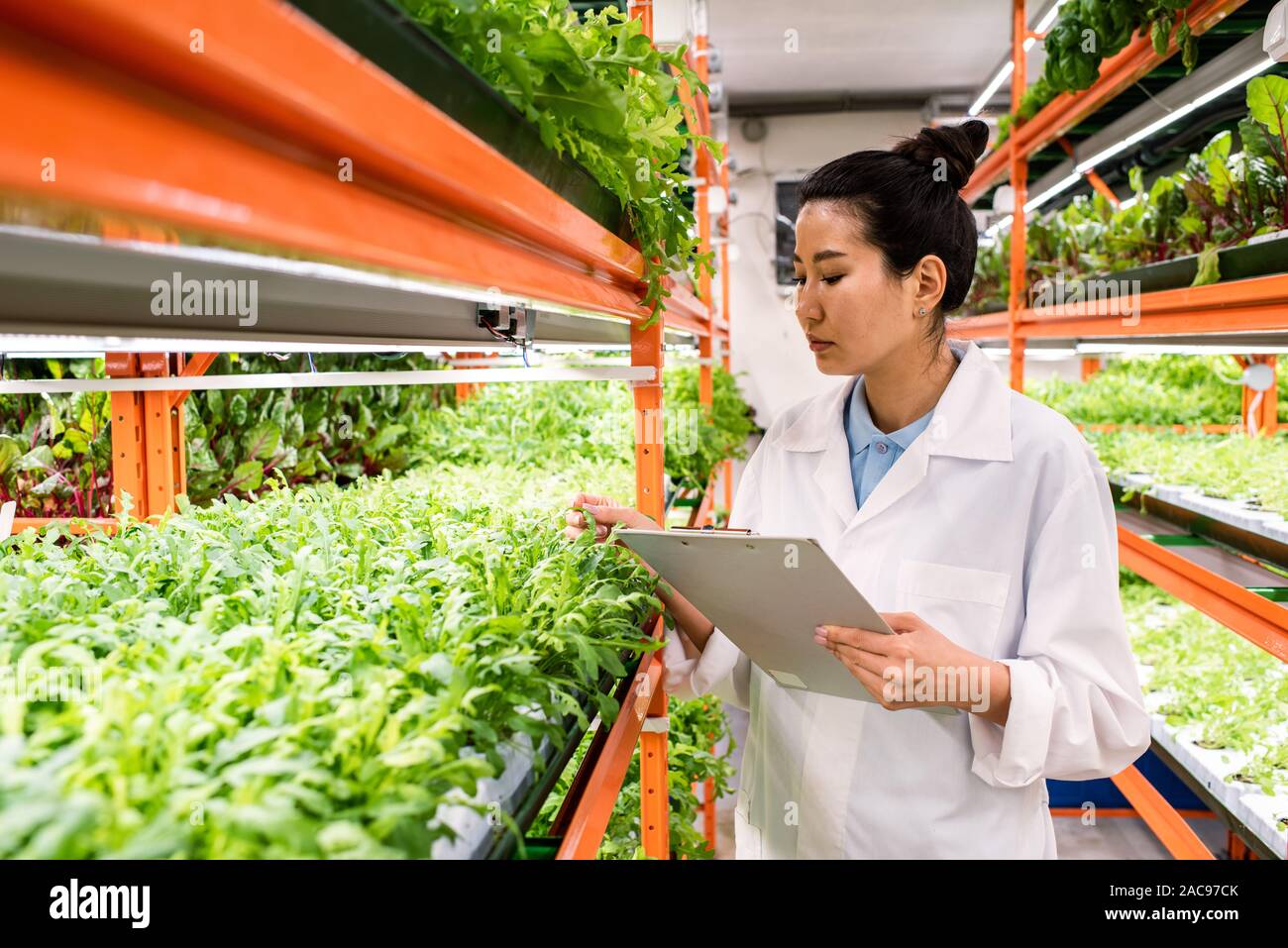 Young serious Asian woman in whitecoat standing by shelf with green seedlings Stock Photo