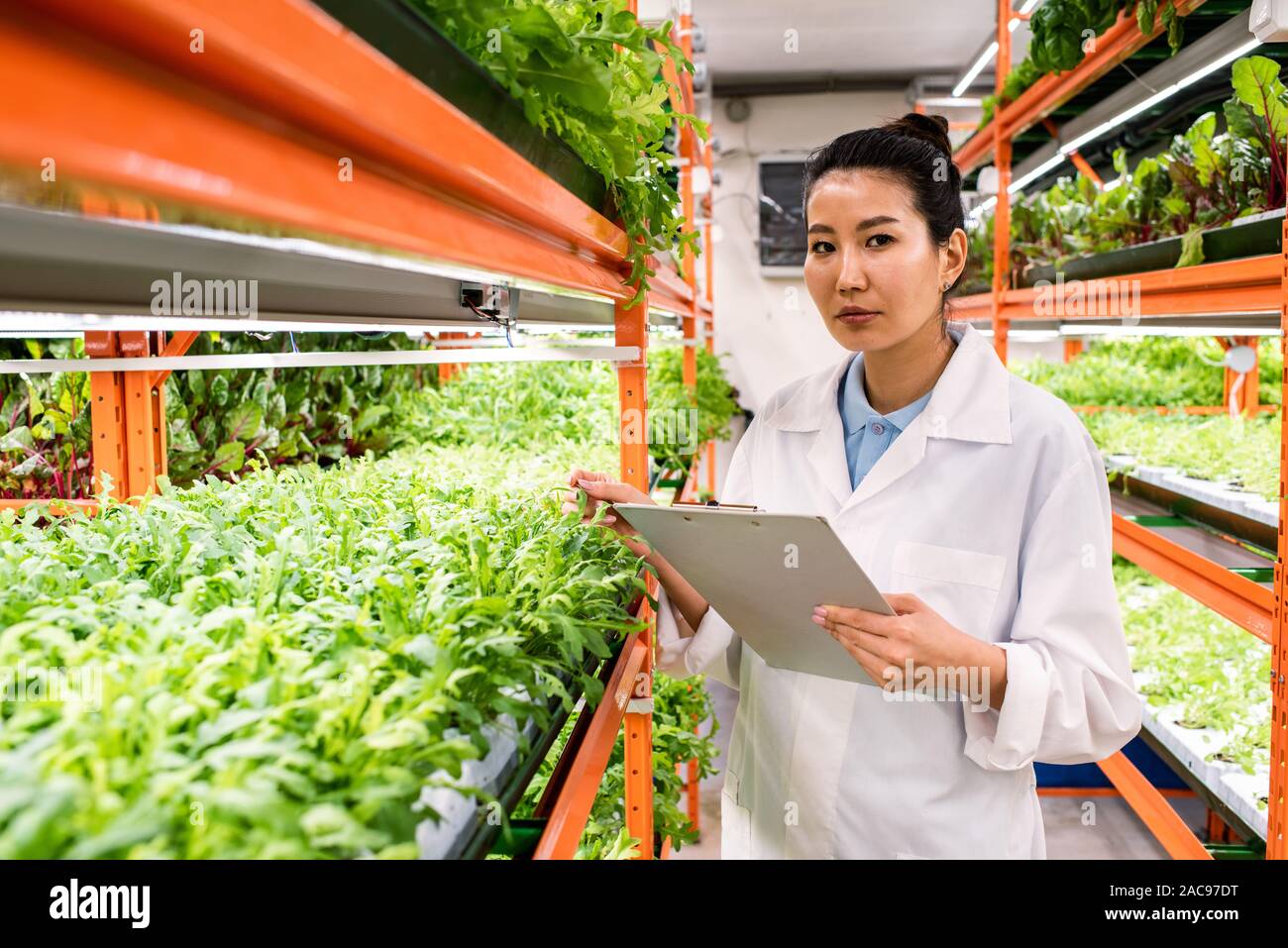 Contemporary young agronomist of Asian ethnicity making research Stock Photo
