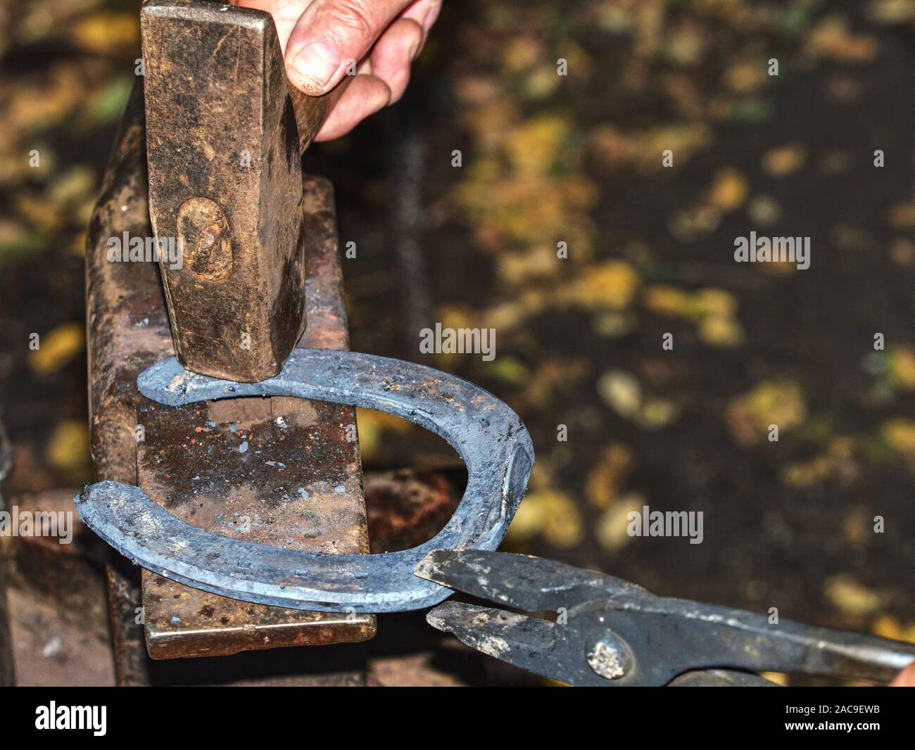 plastic horseshoes