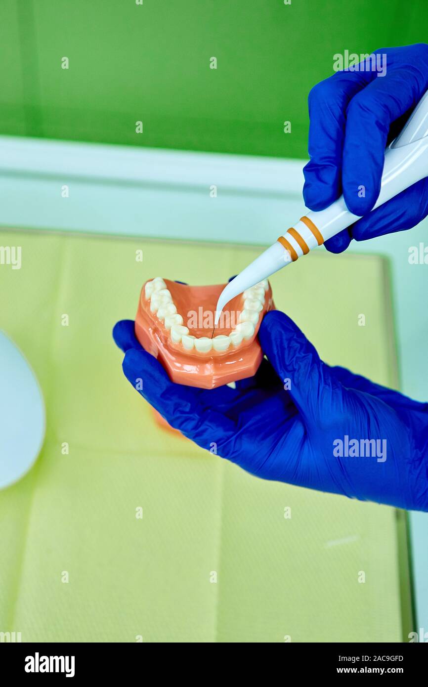 Dentist holding teeth model denture, showing with diagnostic