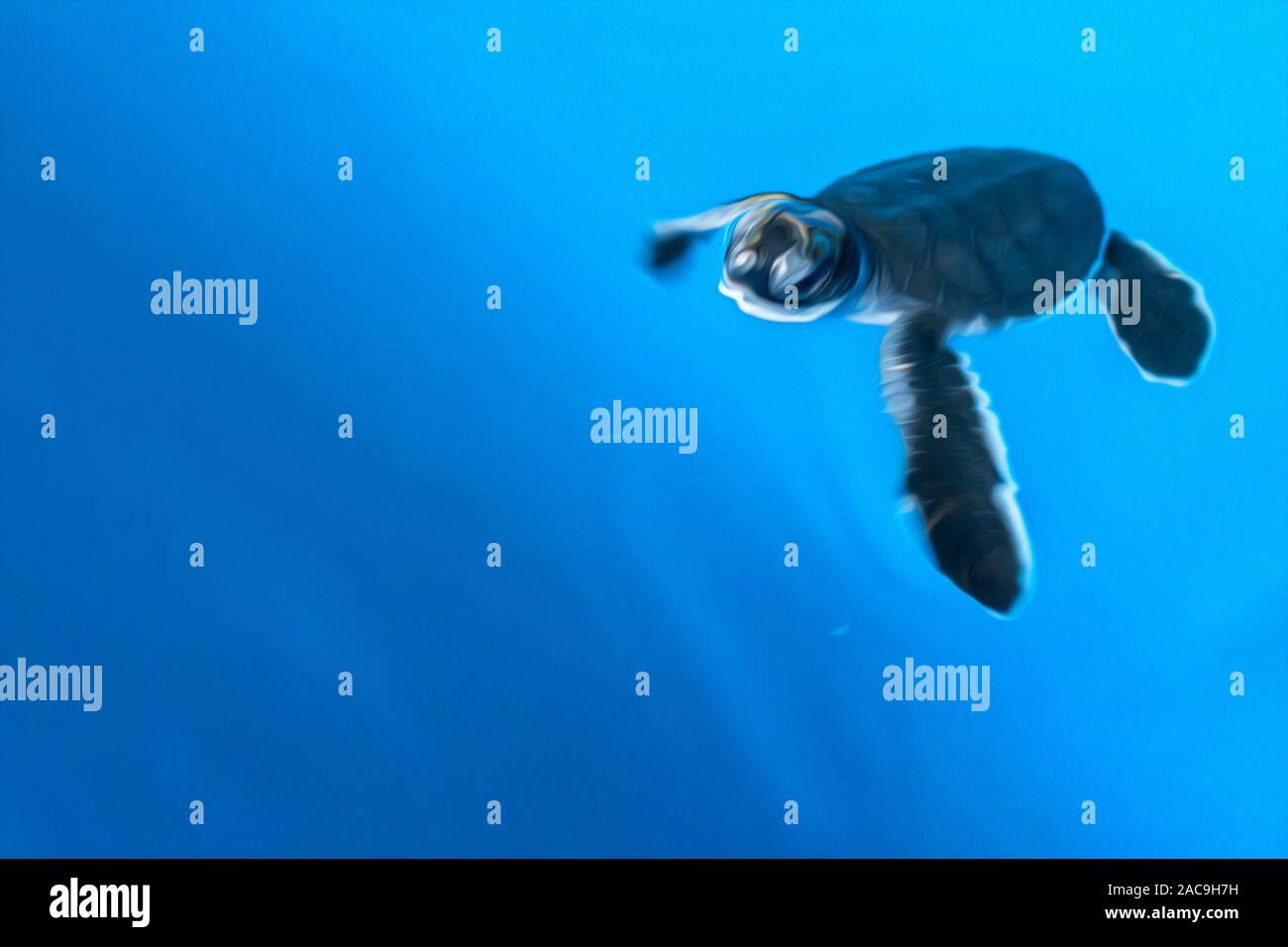 A little newborn turtle is swimming in blue water. Stylization as an oil painting. Copy space. Stock Photo