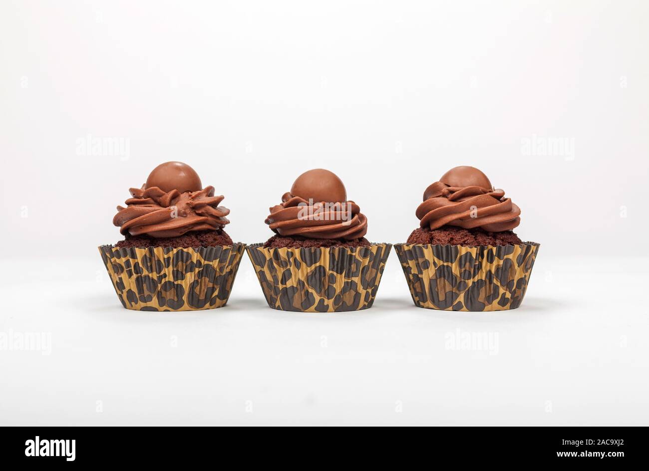 Three chocolate cup cakes with icing and leopard print cases photographed in a row on a white background Stock Photo