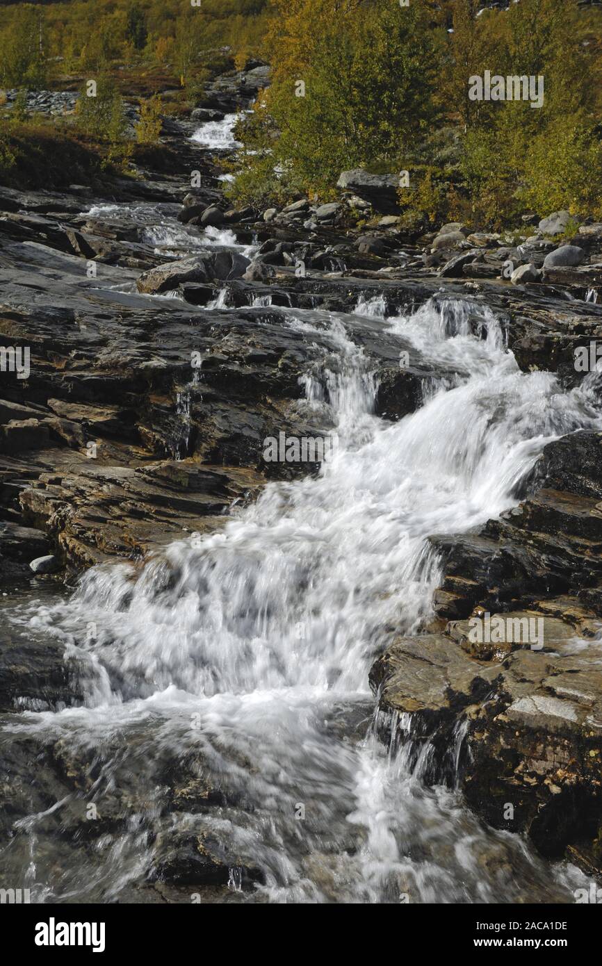bessa, mountain torrent, wildbach, oppland, norwegen, norway, nordeuropa, north europe, Stock Photo