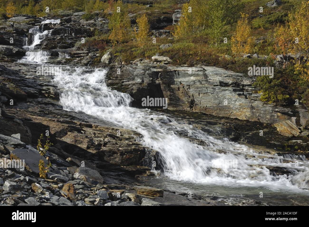 bessa, mountain torrent, wildbach, oppland, norwegen, norway, nordeuropa, north europe, Stock Photo