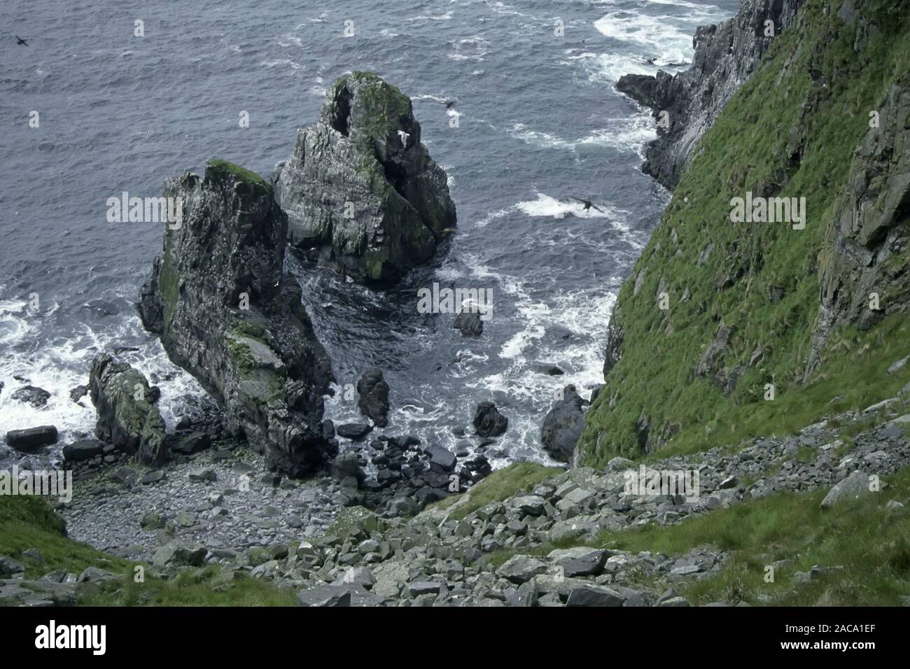 bird rock, vogelfelsen, runde (island), more og romsdal, norway ...