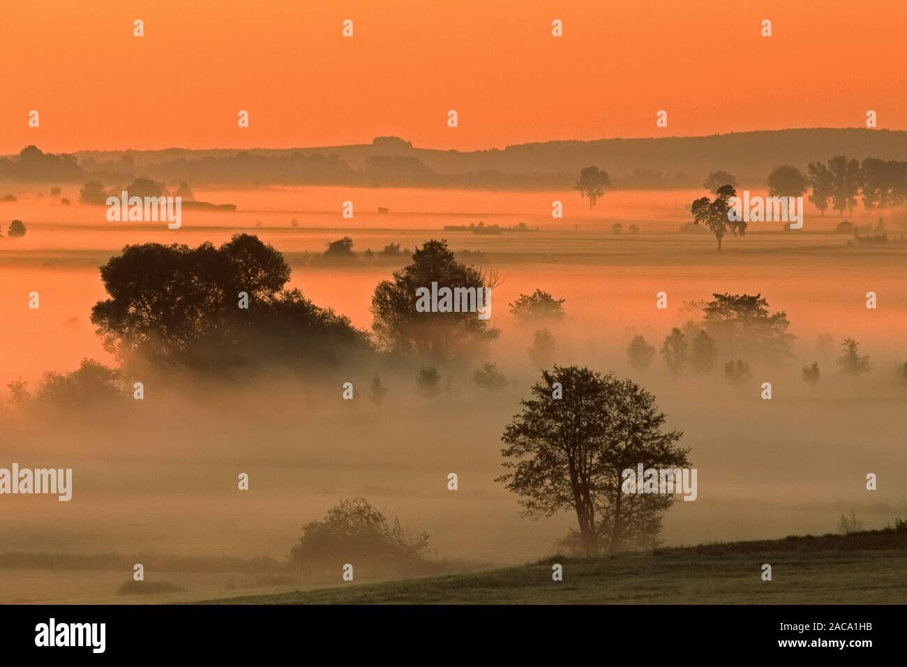 dawn, daemerung. foggy landscape, nebellandschaft, middle franconia, mittelfranken, bavaria, bayern, deutschland, germany, europ Stock Photo