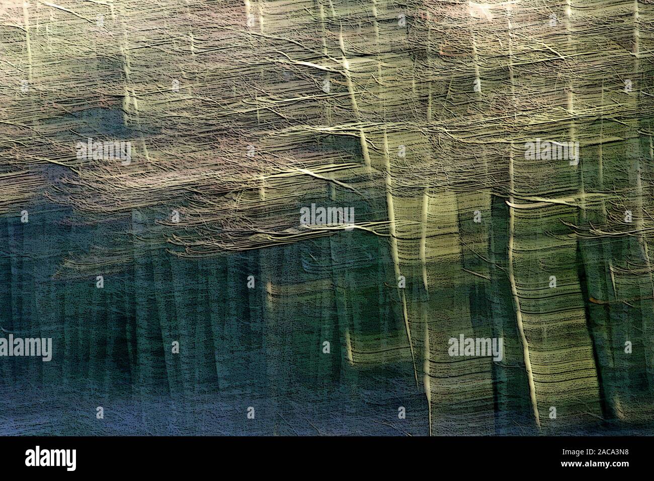 Alder grove hires stock photography and images Alamy