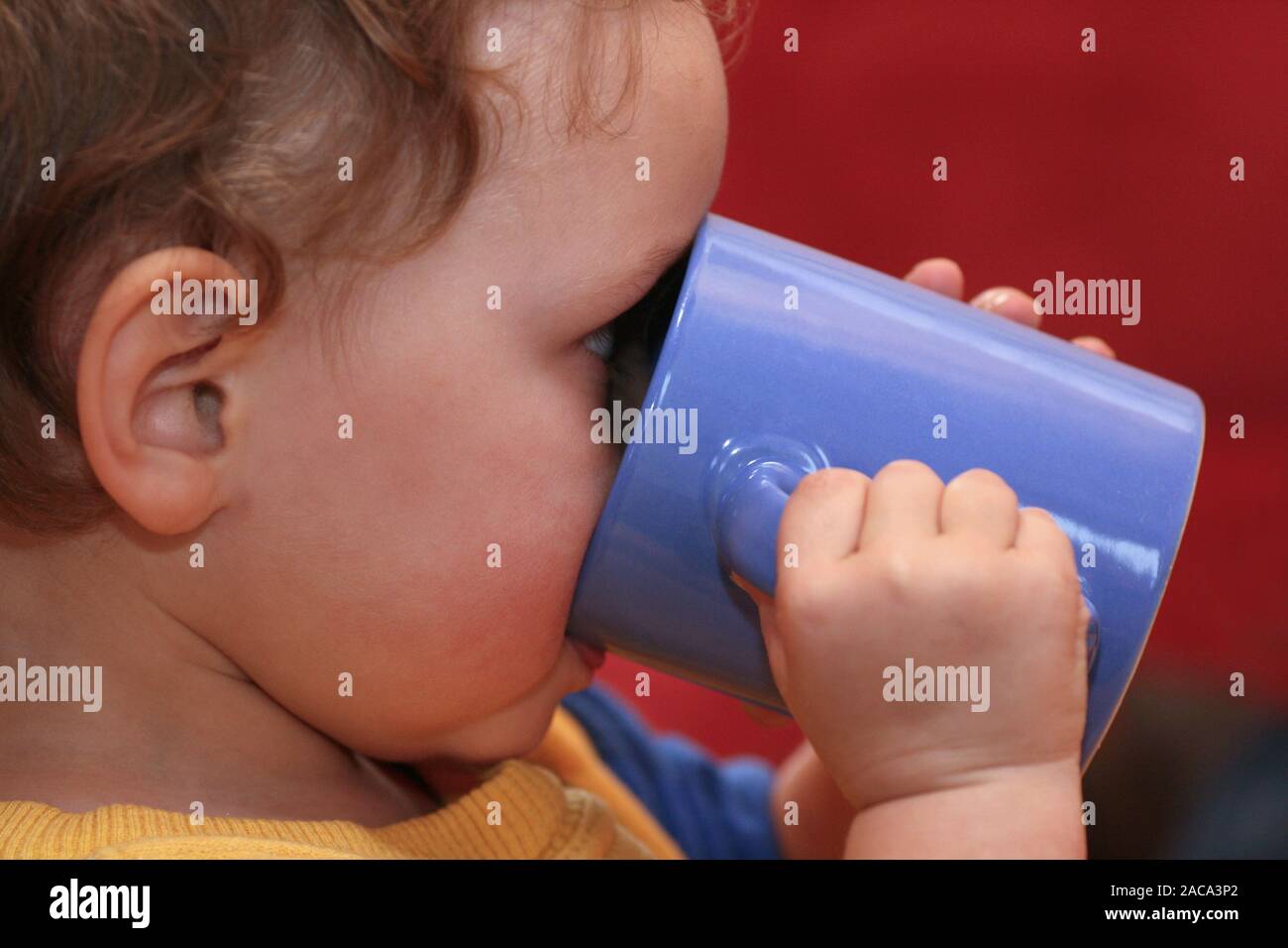 Toddler drinks from cup Stock Photo Alamy