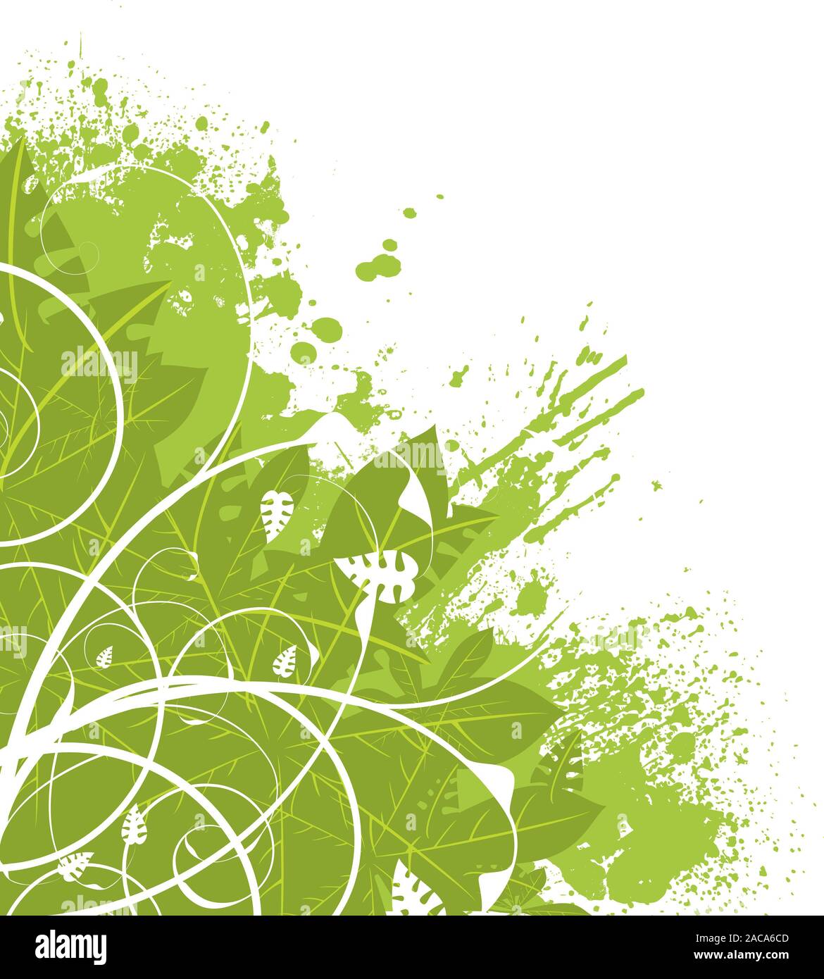 floral corner green Stock Photo Alamy