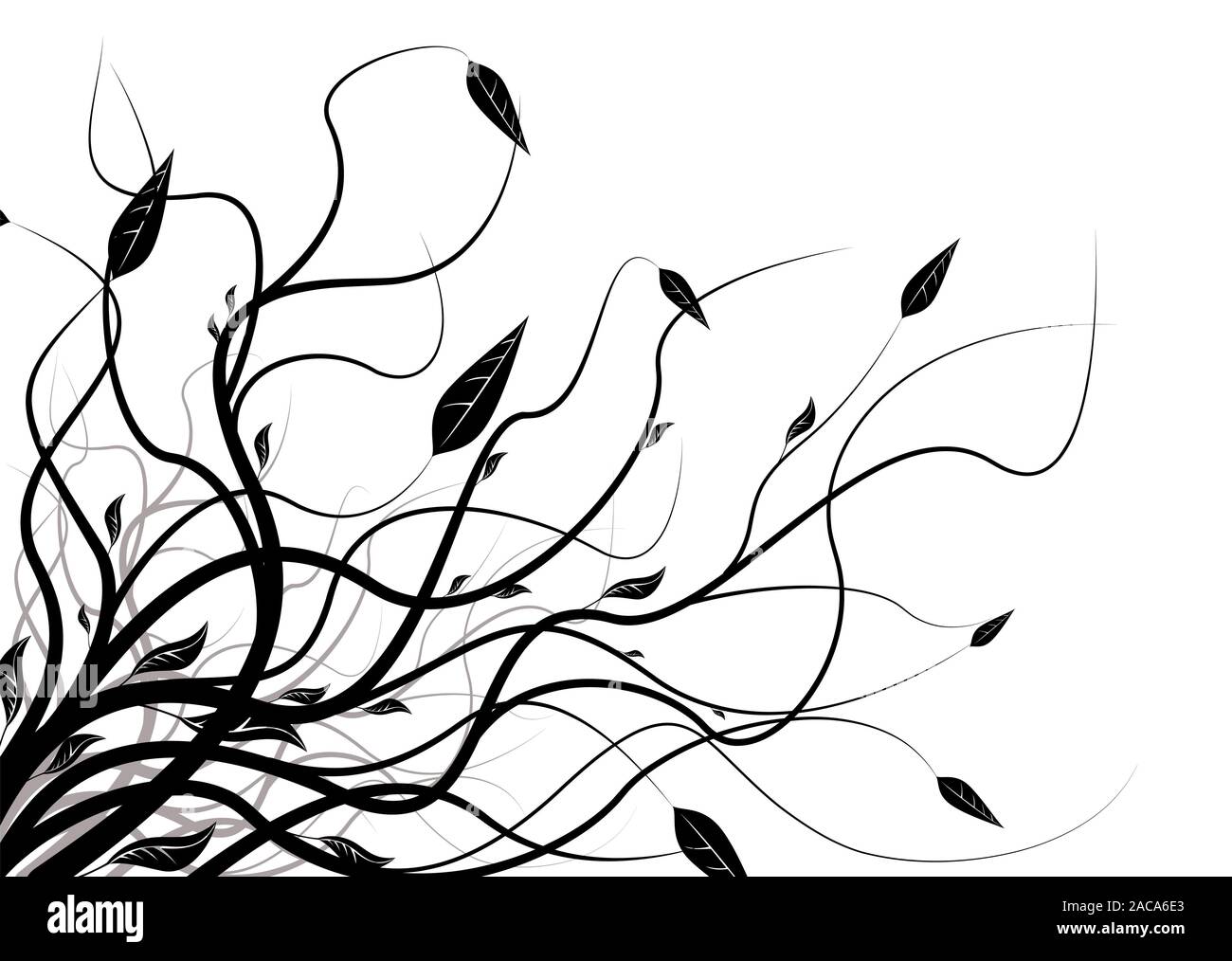 Floral wallpaper silhouette hi-res stock photography and images - Alamy