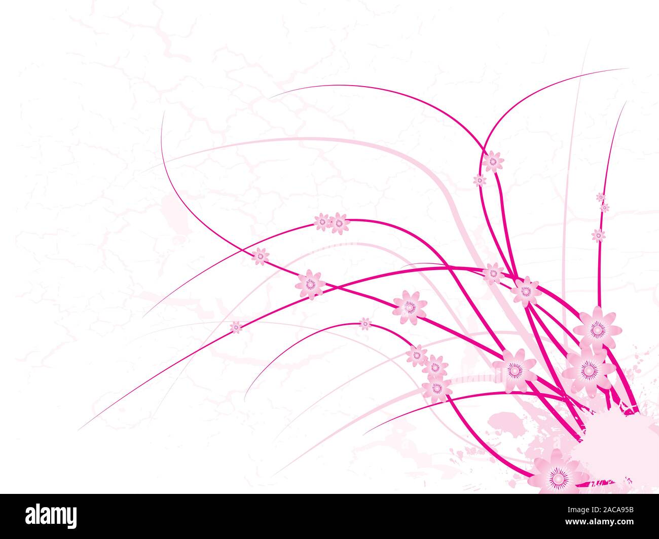 Pink ink plant hi-res stock photography and images - Alamy