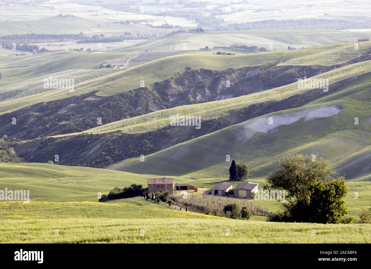 Farmhouse in Tuscany Stock Photo - Alamy