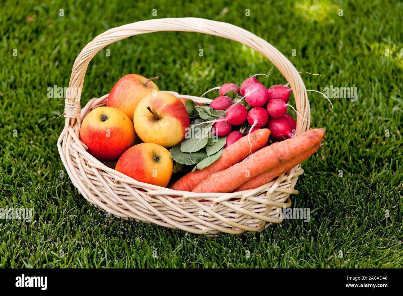 Fruit and vegetables in a basket with a woman Stock Photo - Alamy