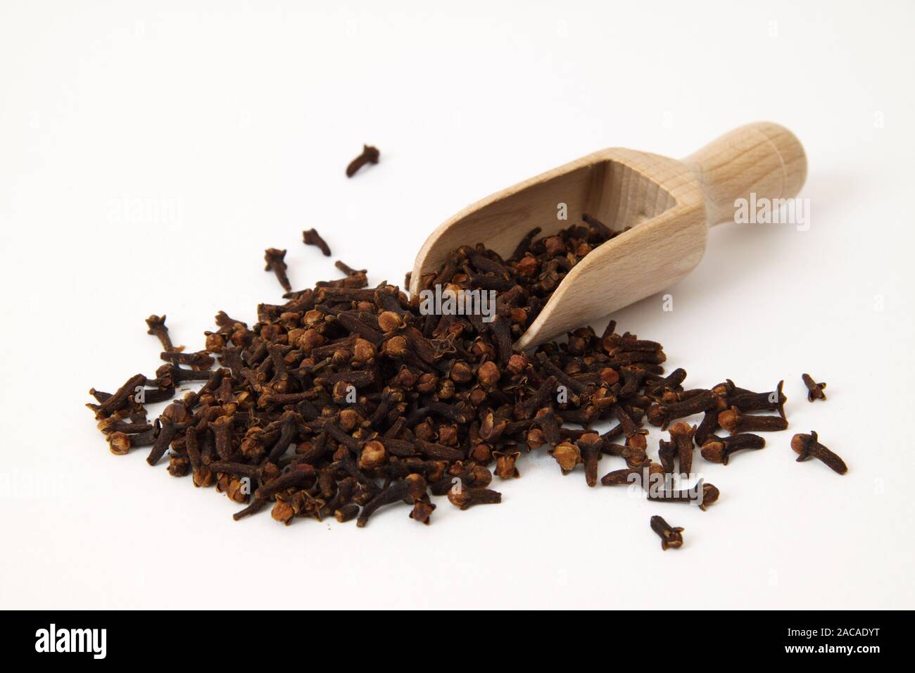 cloves of spices Stock Photo
