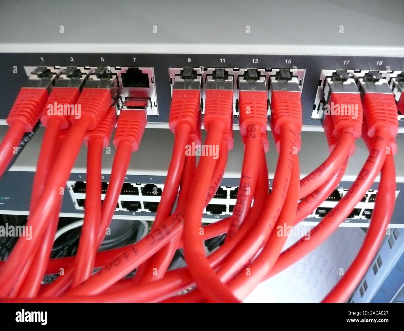 Computer network cable - Computer network cable Stock Photo - Alamy