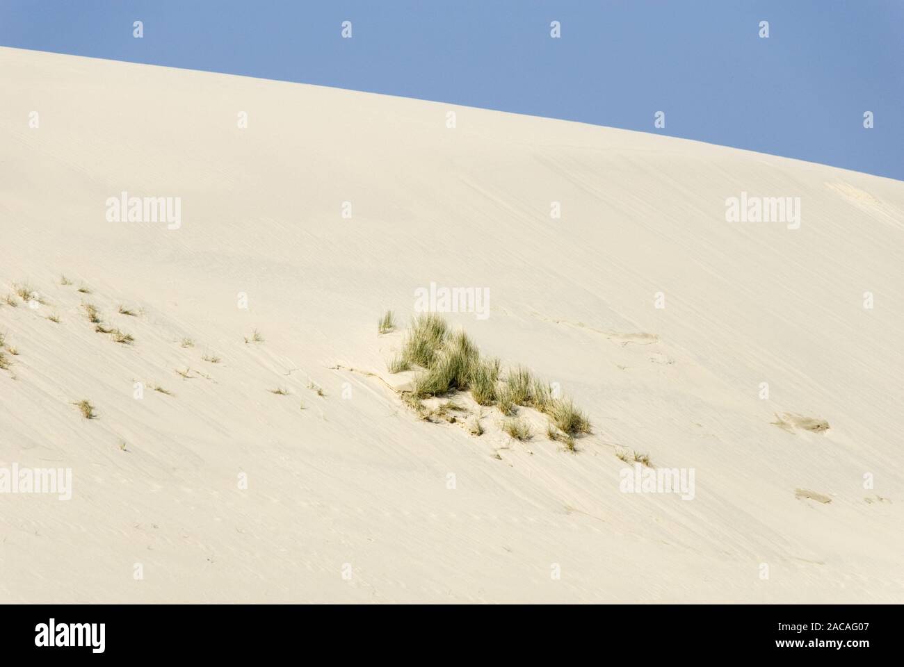 shifting dune Stock Photo