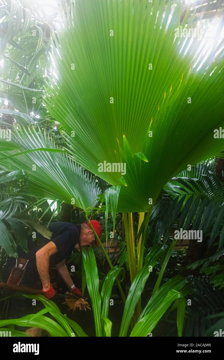 England, London, Richmond, Royal Botanic Gardens Kew, Gardener Working
