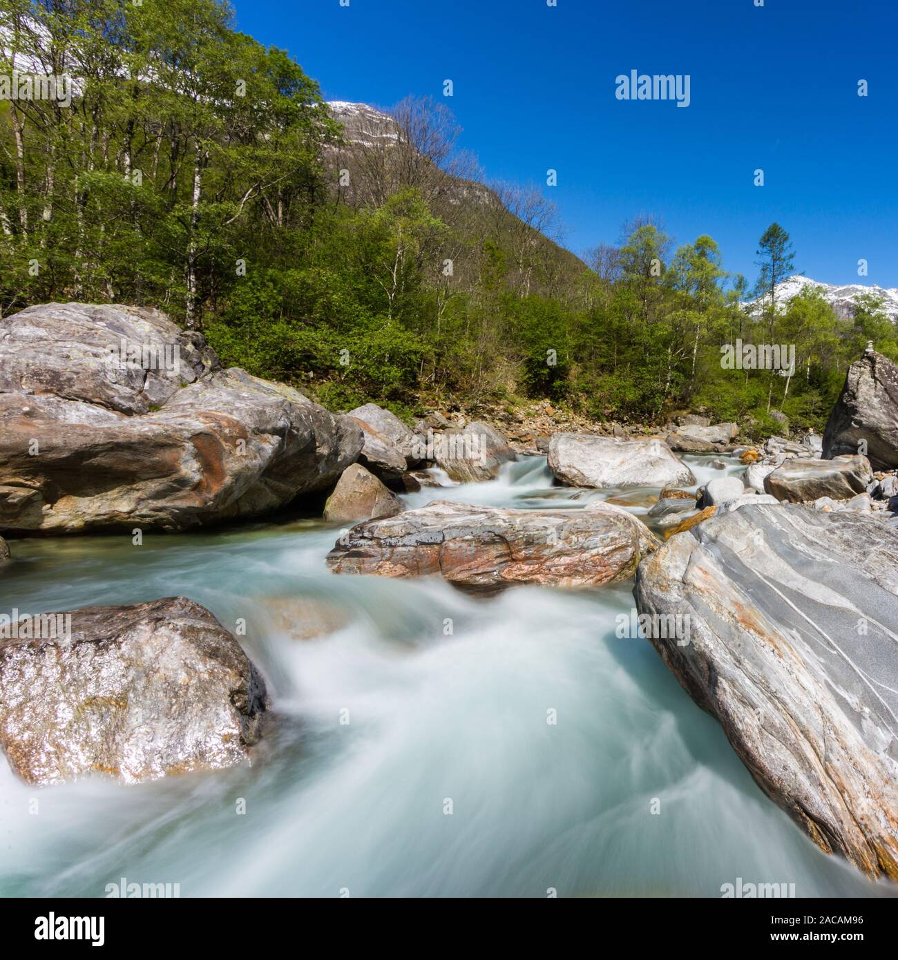 colorful Verzasca river in canton Ticino in Switzerland in spring, blue sky, green trees Stock Photo