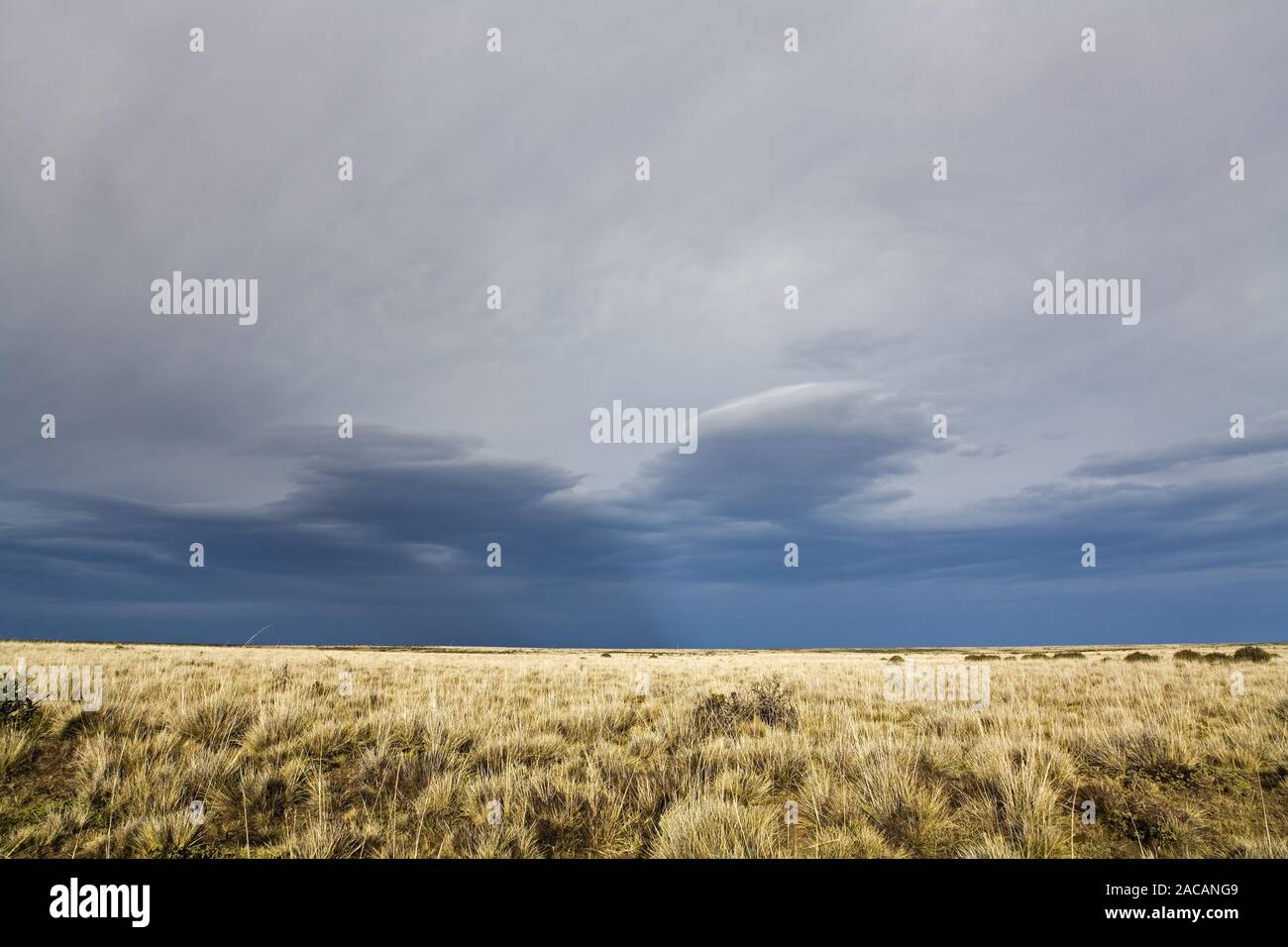 Grassland landscape at Argentina, Patagonia, South America Stock Photo