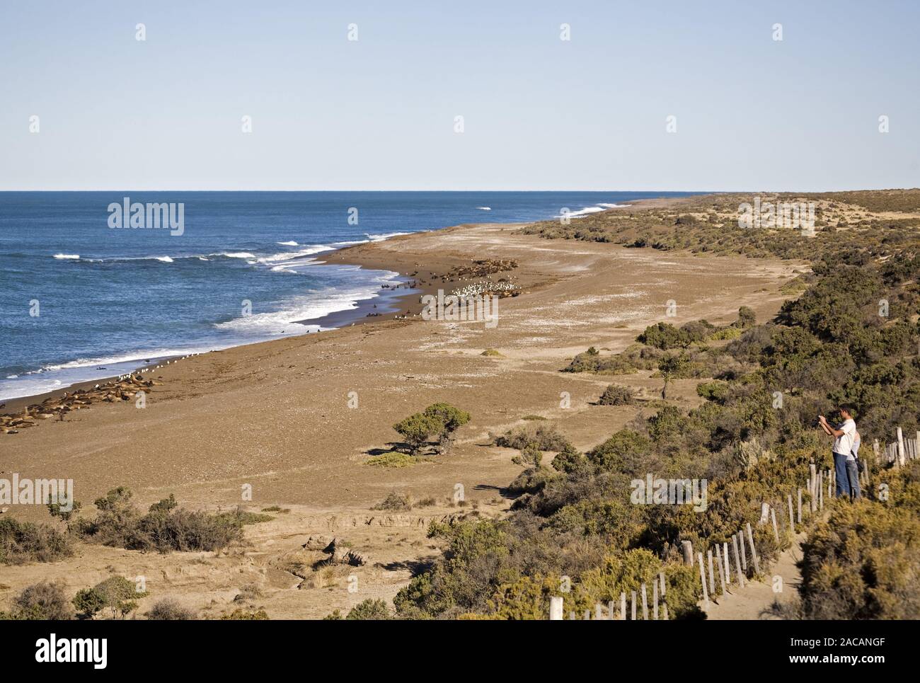 Strand von Punta Norte, Halbinsel Valdes, Atlantik, Arentinien, Beach of Punta Norte, peninsula Valdes, atlantic coast, Argentin Stock Photo