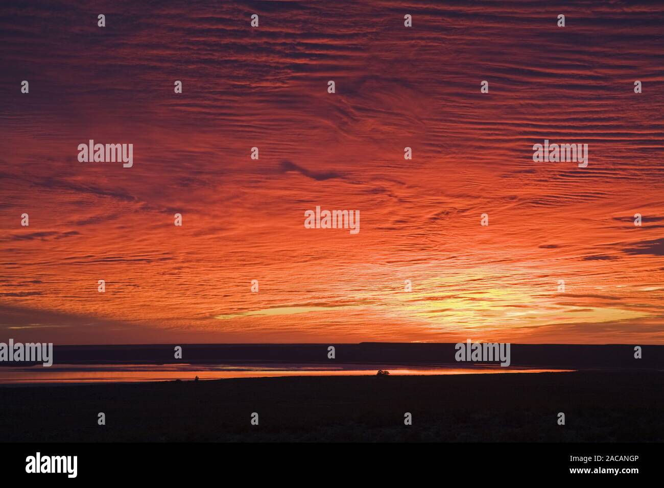 Sonnenaufgang an See, Halbinsel Valdes, Argentinien, Sunrise at lake, peninsula Valdes, Patagonia, Argentina Stock Photo
