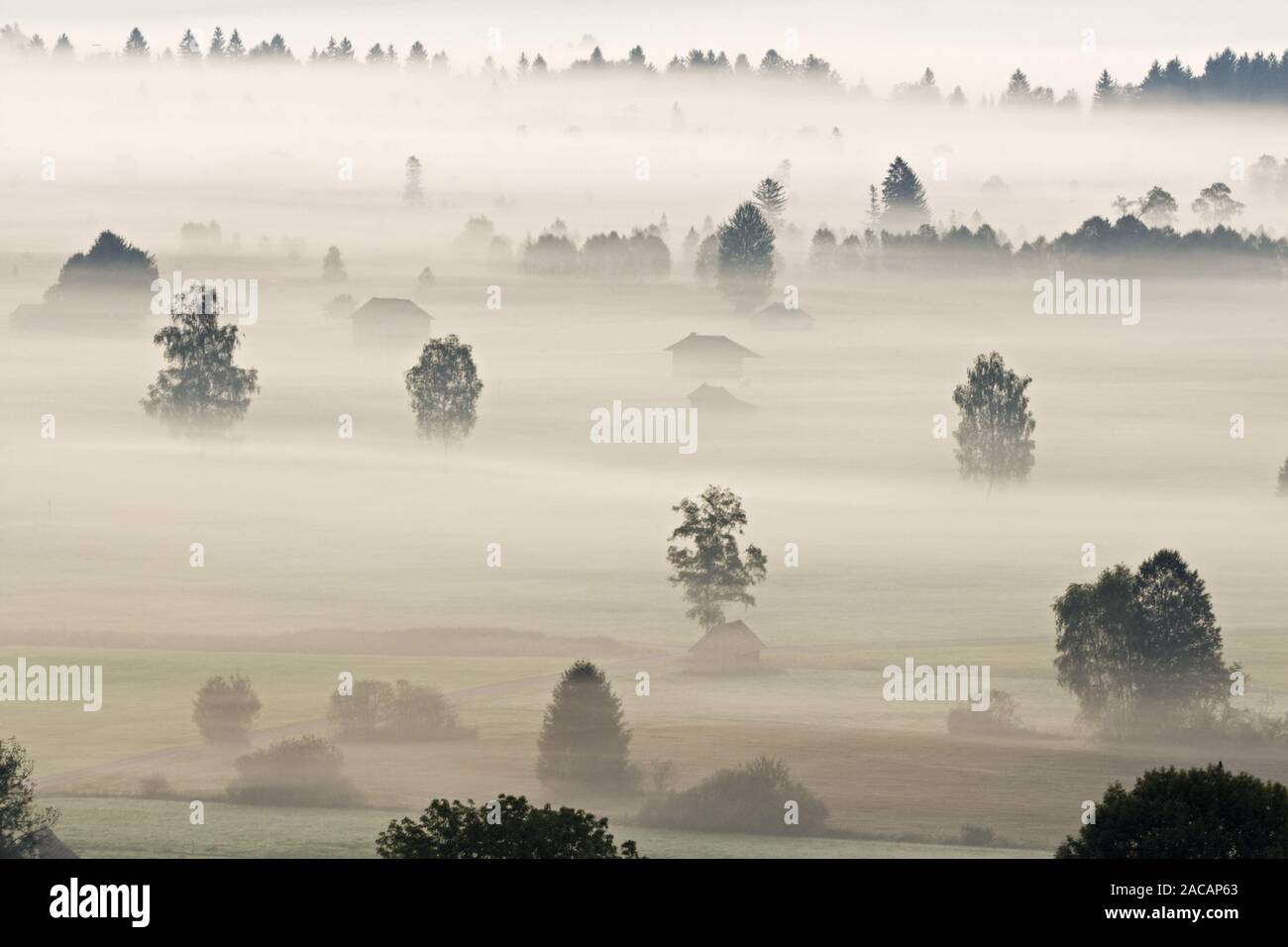 foggy scenery, bavarian pre-alps, bavaria, germany Stock Photo