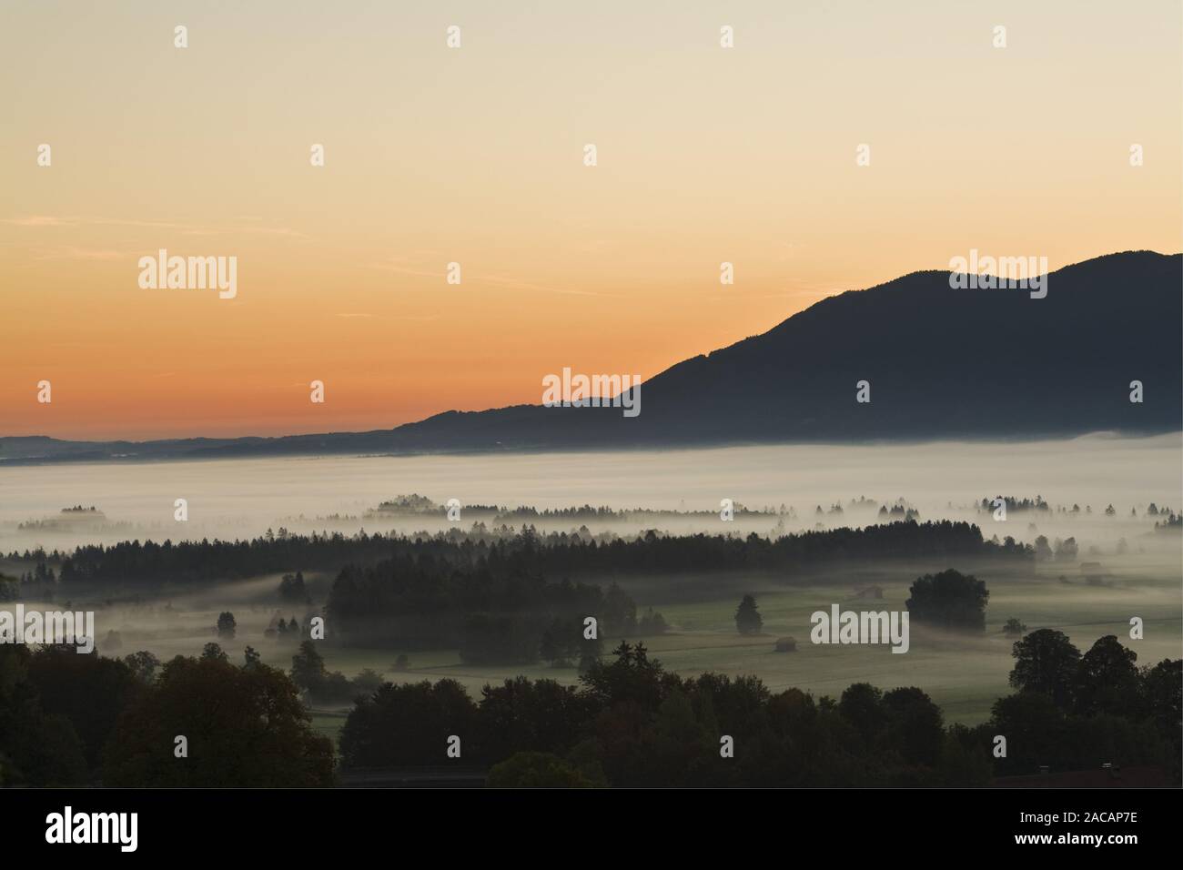 foggy landscape in the bavarian pre-alps, germany Stock Photo