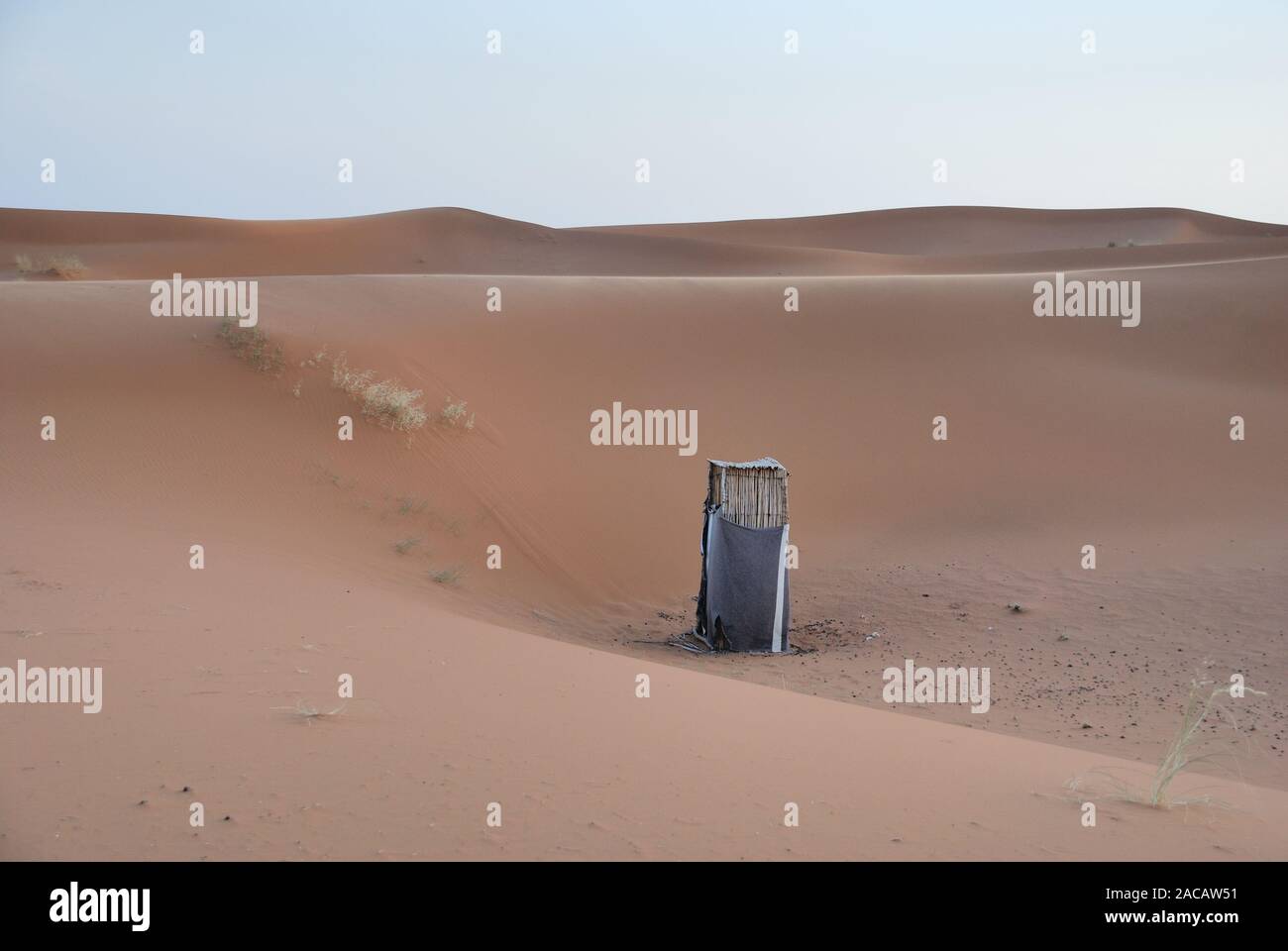 Klo in the desert, Erg Chebbi, Morocco, North Africa Stock Photo