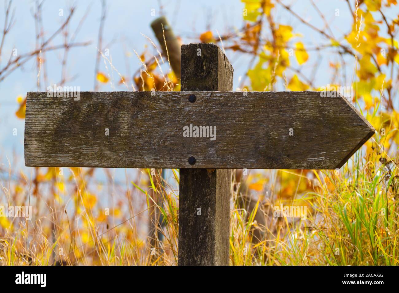 Old signpost points in the right direction Stock Photo