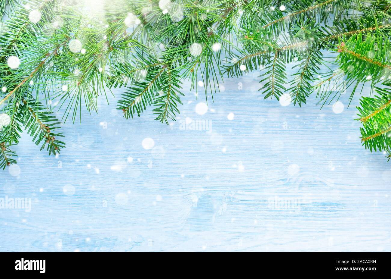 Christmas background with pine branches on wooden Stock Photo