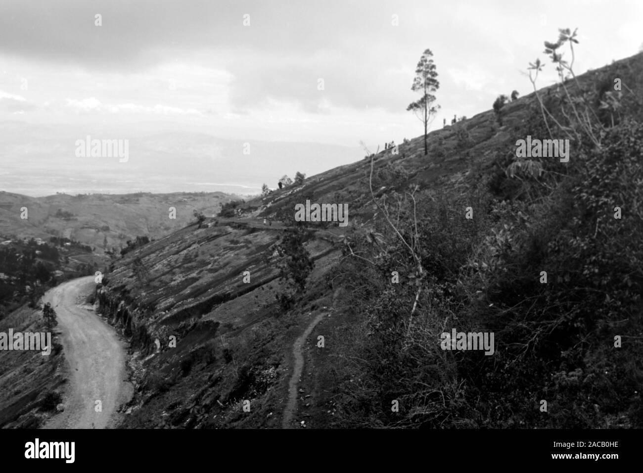 Berglandschaft in 1000m Höhe, 1967. Mountain scenery at 1000m MASL, 1967. Stock Photo