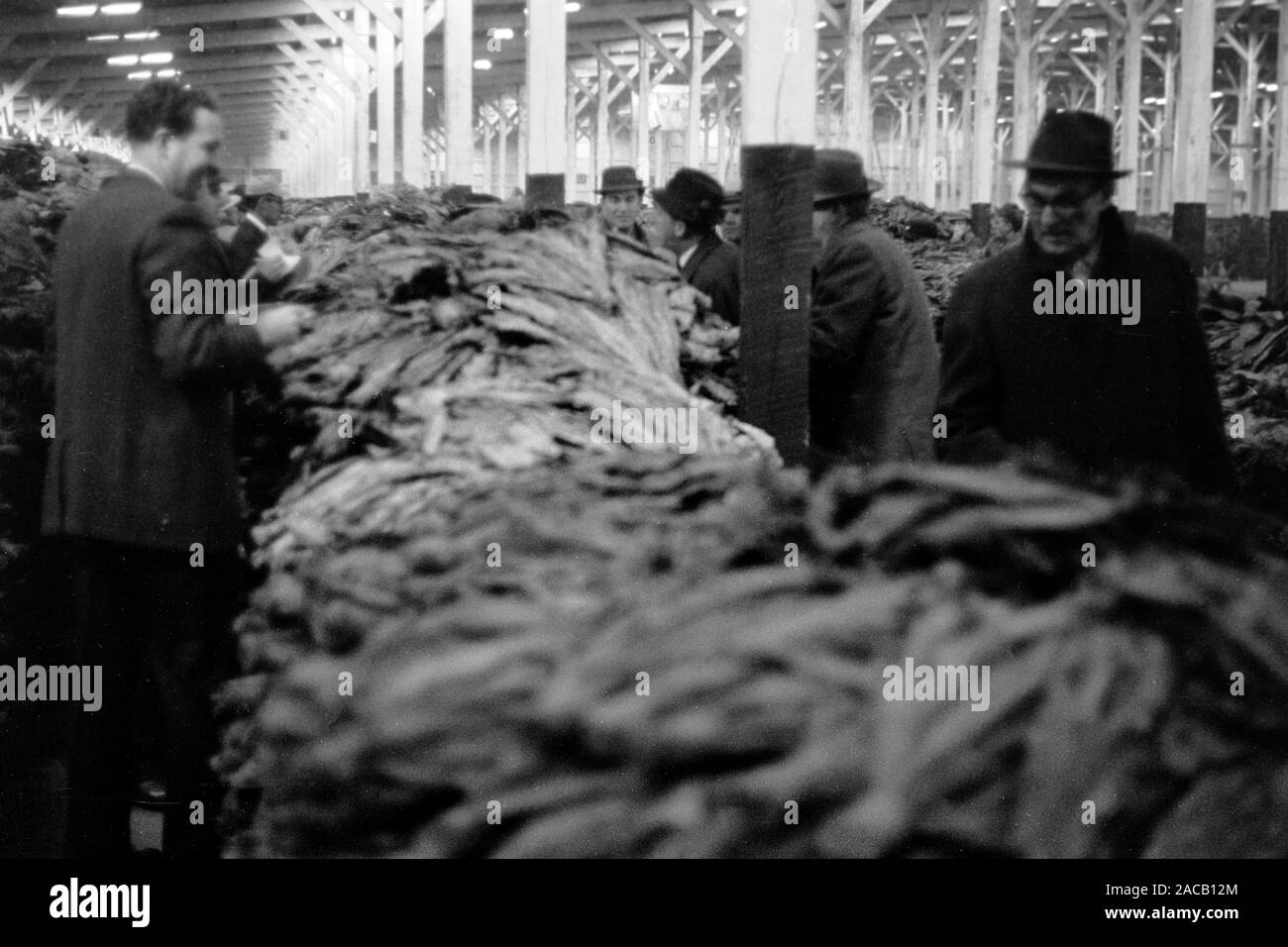 Air curing hires stock photography and images Alamy