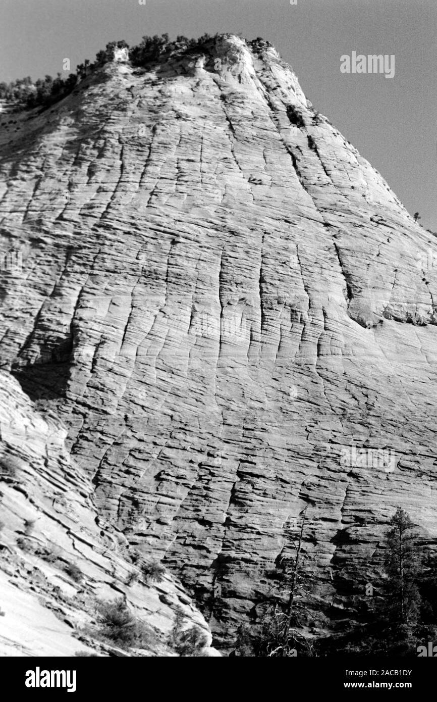 Unterwegs im Grenzgebiet Utah-Arizona bei Kanab, Zion Nationalpark, 1968. Roadtrip around the Utah-Arizona borderline in the Kanab area, Zion National Park, 1968. Stock Photo