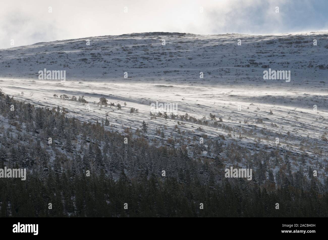snow-covered autumn landscape in the valley Alvdal Vestfjell, Hedmark ...