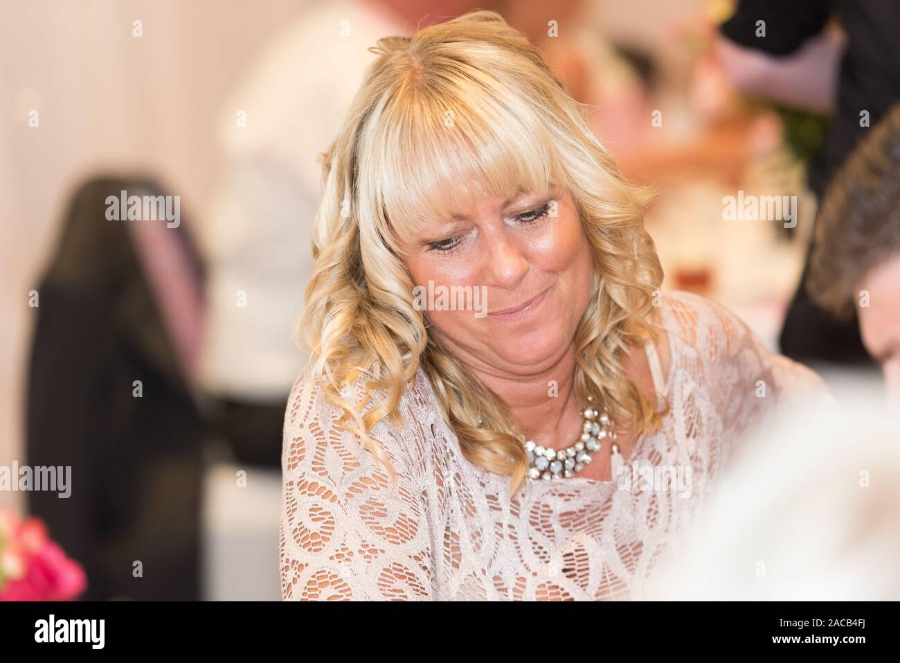 Wedding Guests Smiling Laughing And Having Fun At The Wedding