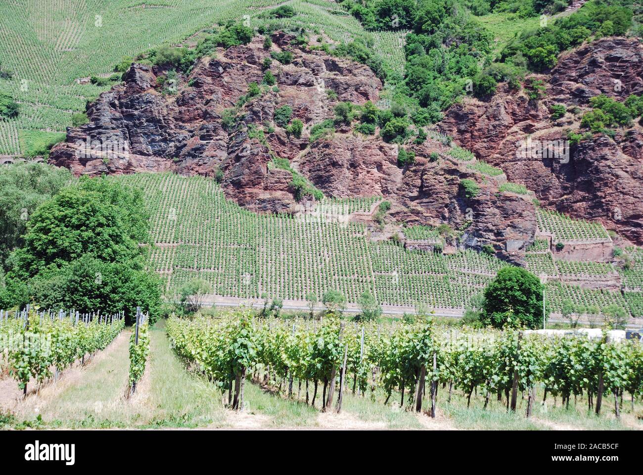 vineyard site and rocks in the German wine-growing region Mosel, valley of the Mosel, Rhineland-Palatinate, Germany, Europe Stock Photo