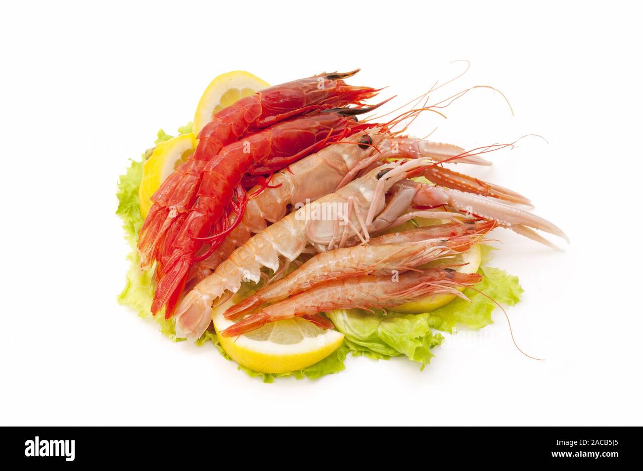 freshly caught seafood Stock Photo - Alamy