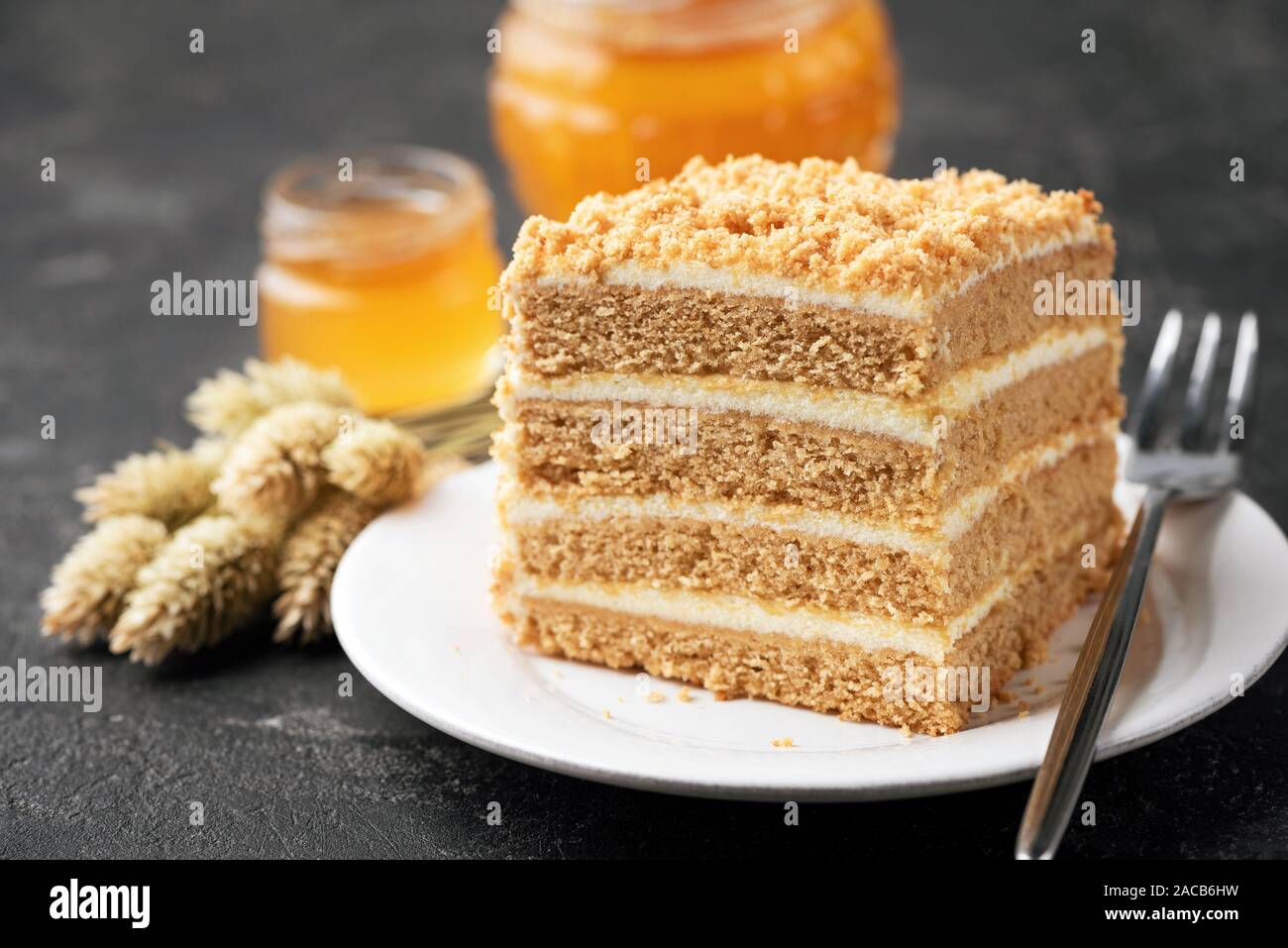 Layer cake Medovik, honey cake on white plate. Closeup view. Sponge cake of 4 honey layers with pastry cream Stock Photo