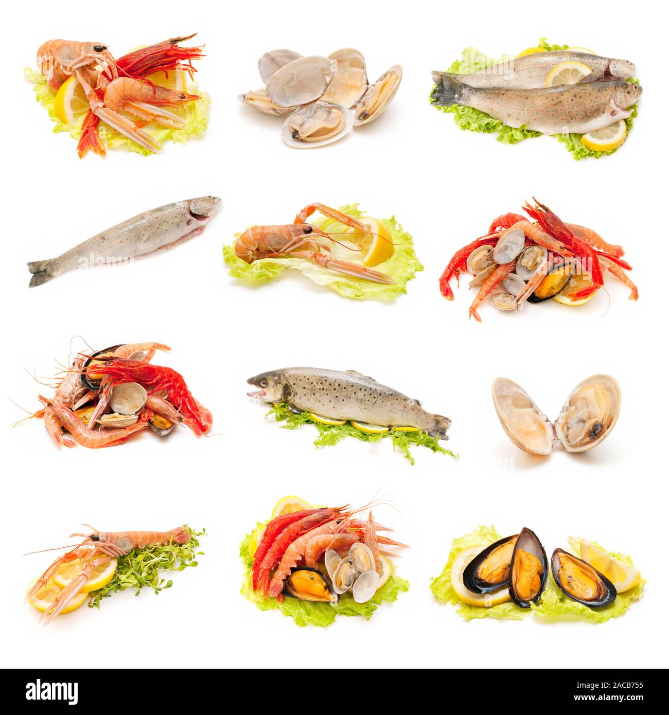shellfish and fish Stock Photo Alamy