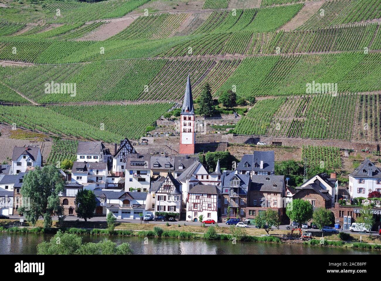 The romantic winegrowing village of Zell an der Mosel, Rhineland-Palatinate, Germany, Europe Stock Photo
