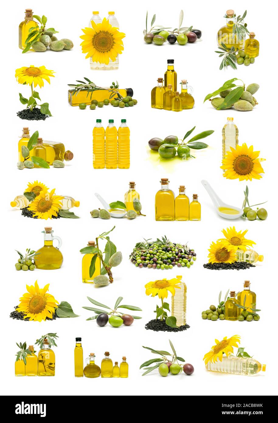 olive oil and sunflower oil Stock Photo Alamy