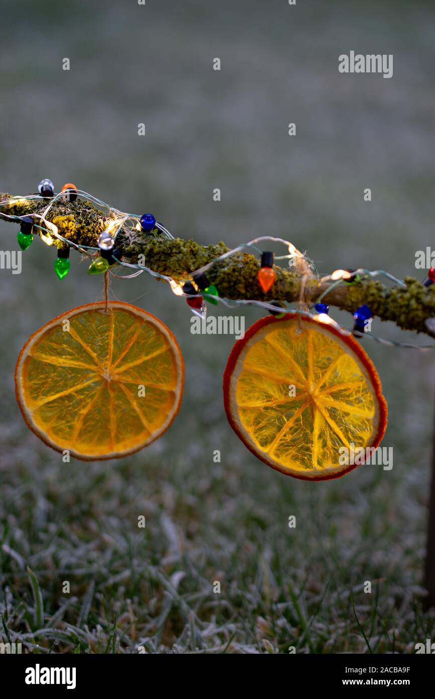 Dried orange Christmas ornament healthy food and drink.Fit fruit.Winter day Stock Photo