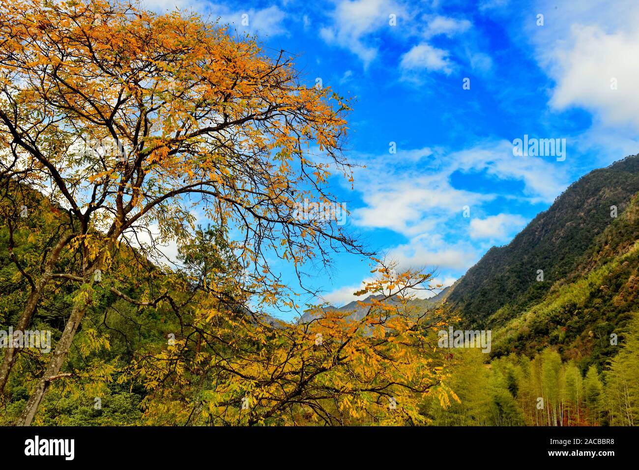 Wuyishan. 29th Nov, 2019. Photo taken on Nov. 29, 2019 shows a view of ...