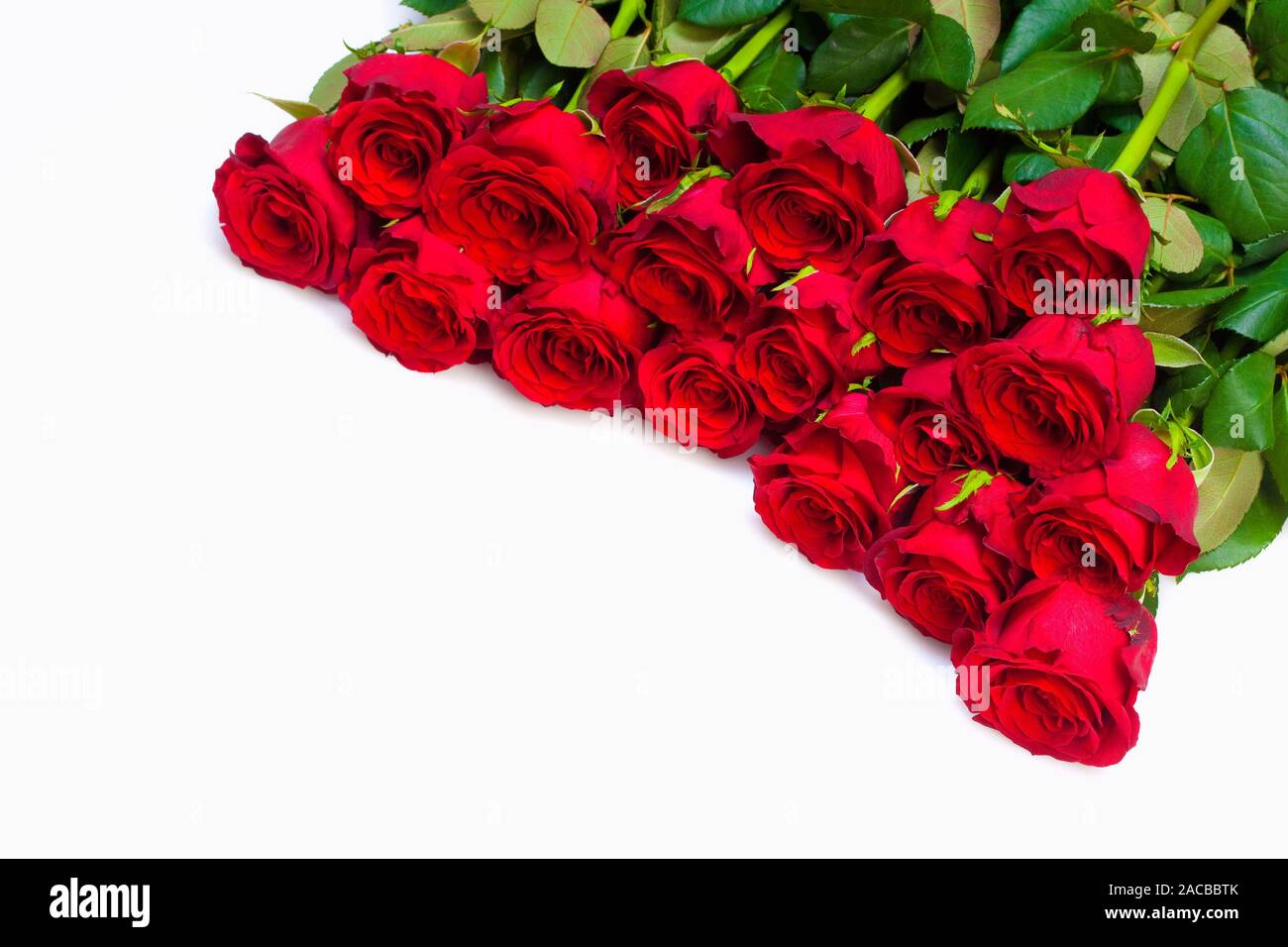 Bouquet of Red Roses - Isolated on White Stock Photo