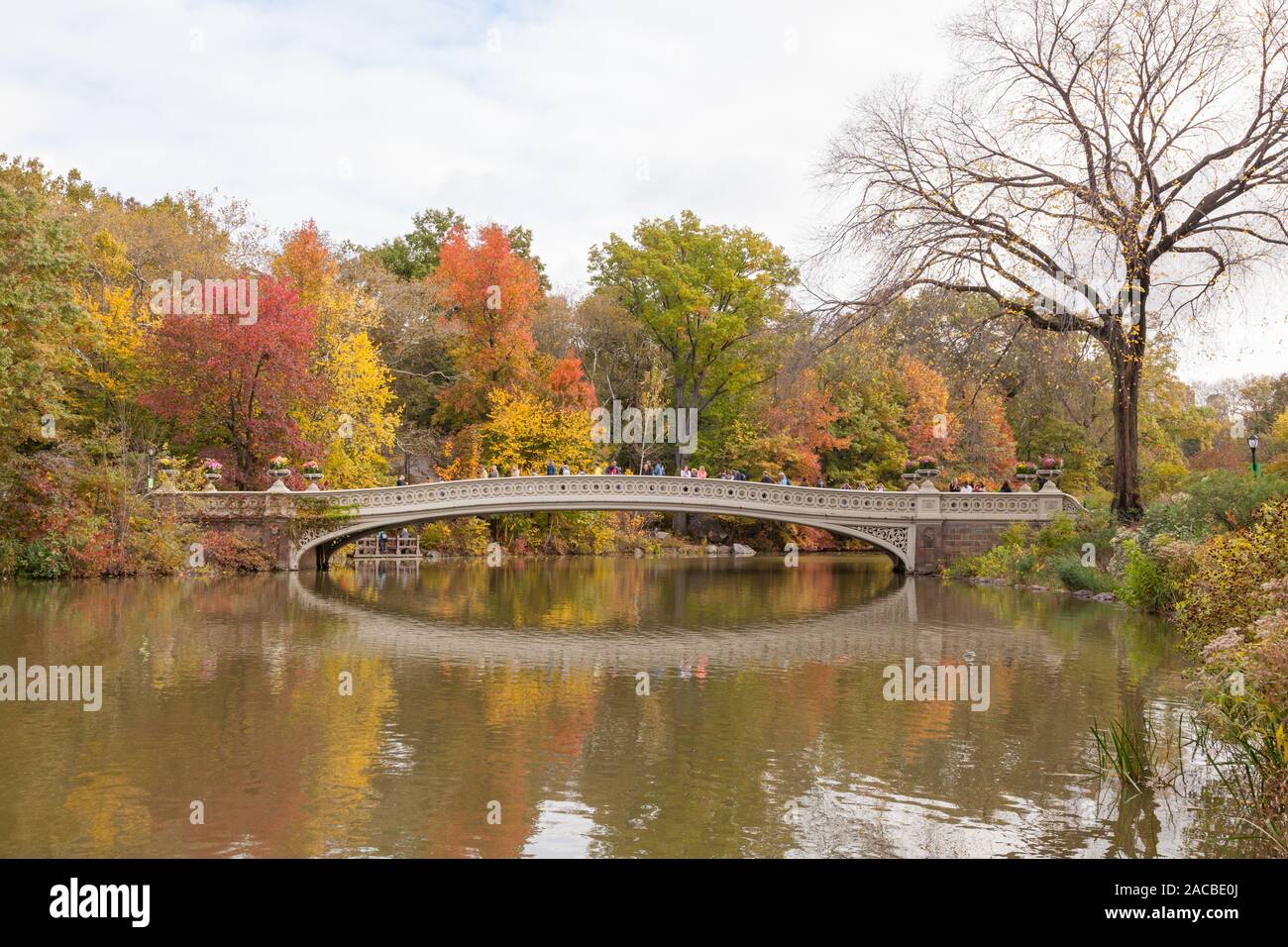 Bow Bridge in Fall, Central park, New York City, United States of ...