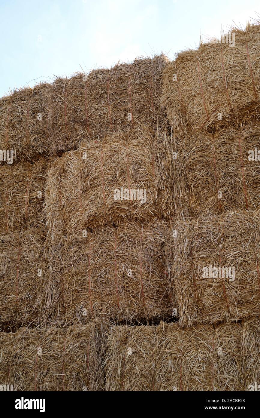 Harvested hay bales stacked on an arable farm - agriculture background Stock Photo