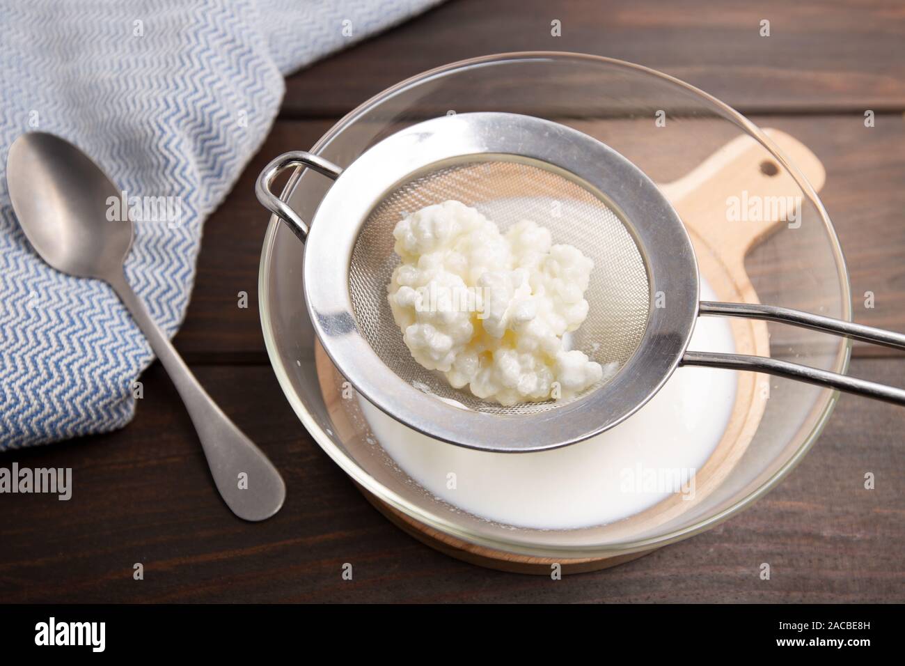 Milk kefir grains in strainer. Yeast bacterial fermentation starter