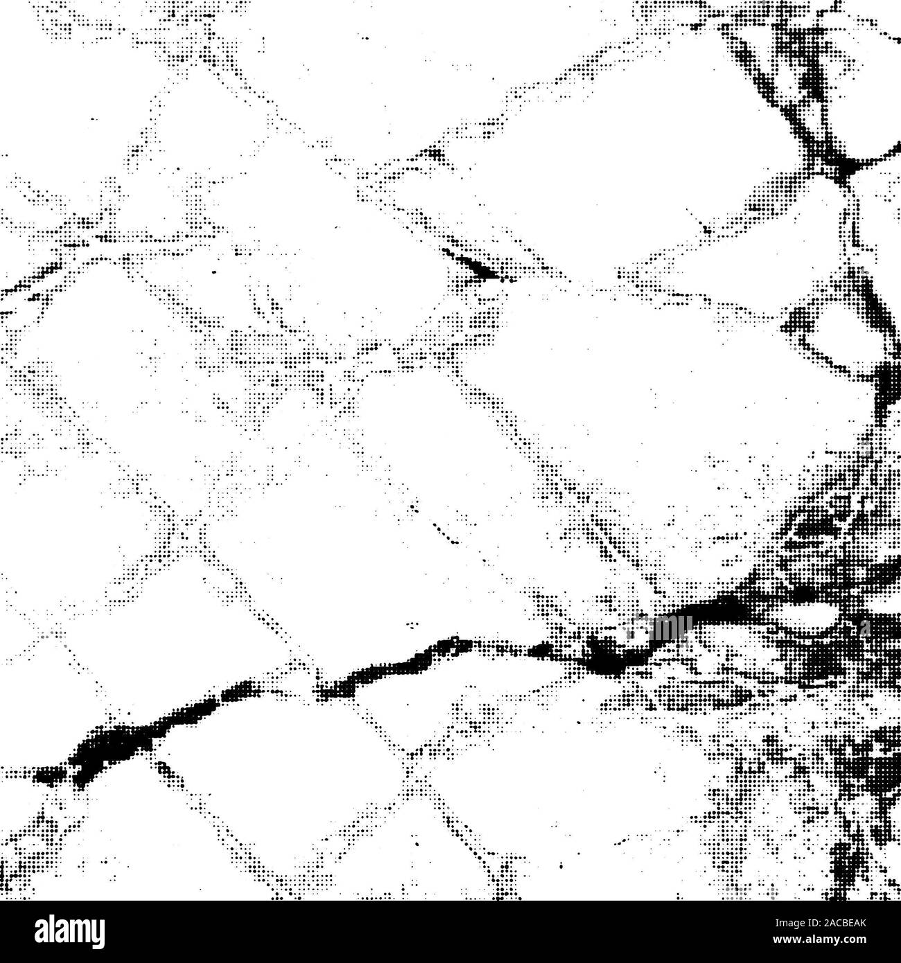 The cracks concrete texture white and black.Cracked earth. Structure of ...