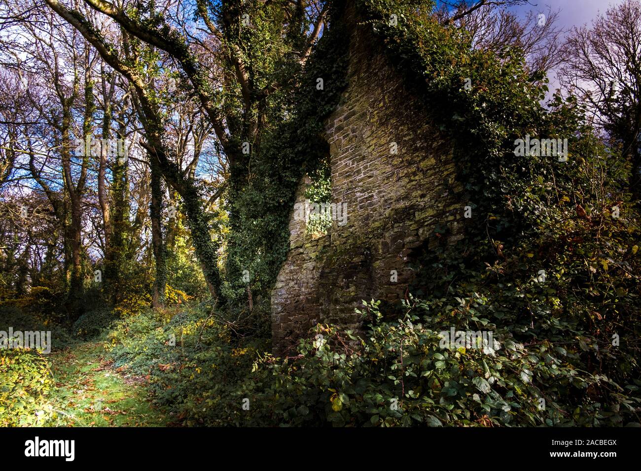 The remains of the Fir Hill Manor House in Colan Woods, the overgrown grounds of the historic Fir Hill Estate in Colan Parish in Newquay in Cornwall. Stock Photo